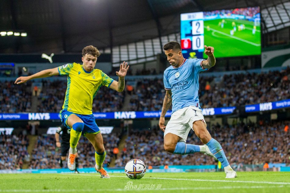 索引擎表现 索引擎表现