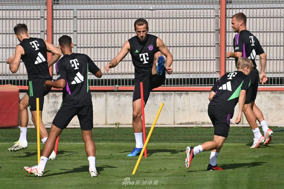 他总是为队 他总是为队